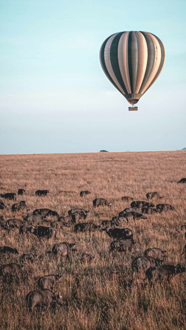 hot air balloon trip-four seasons safari lodge serengeti tanzania