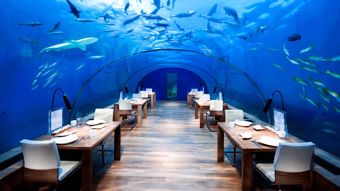 famous underwater restaurant-conrad maldives rangali island