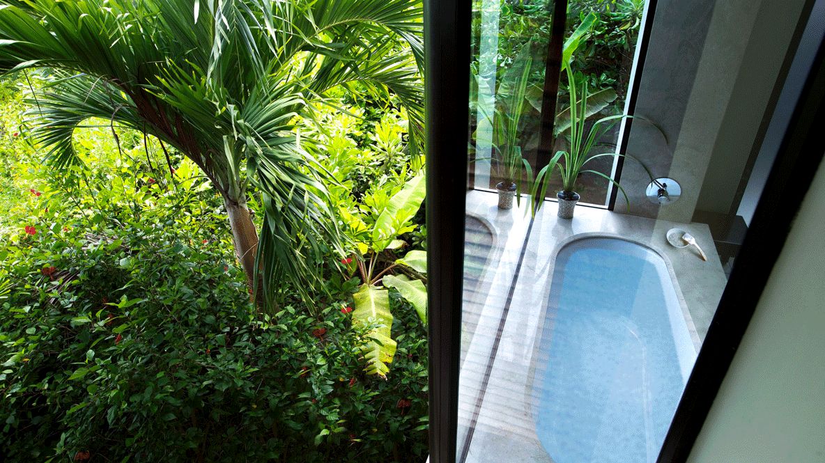 bathtub view jungle-raffles seychelles
