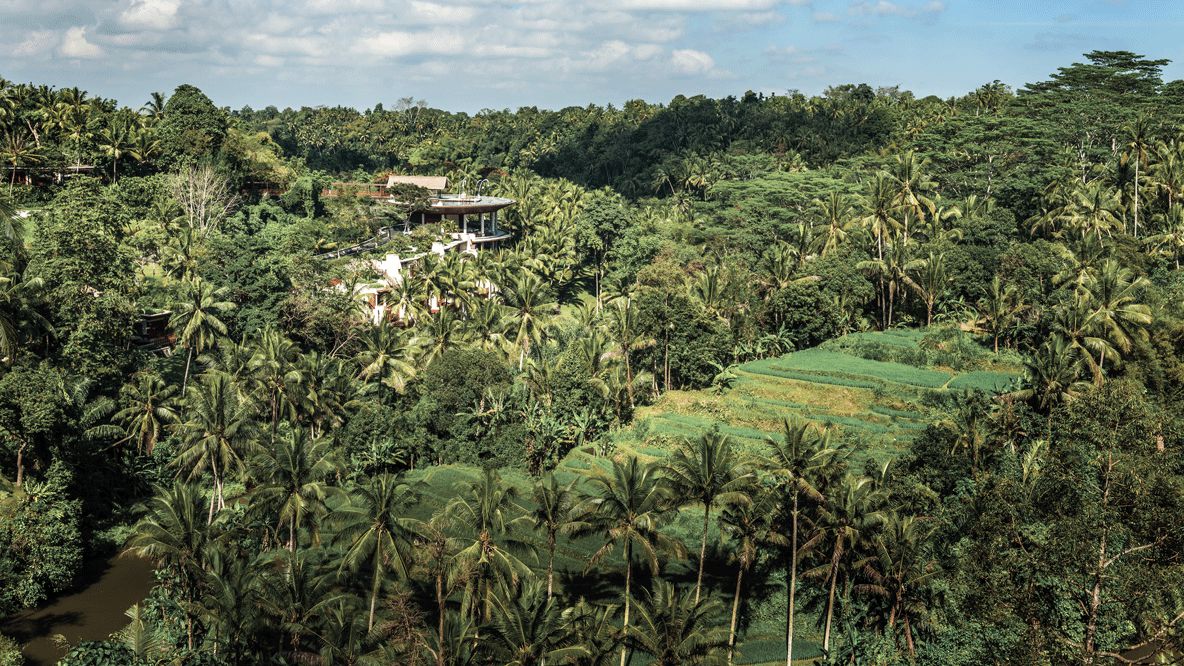 overview hotel-four seasons resort bali at sayan