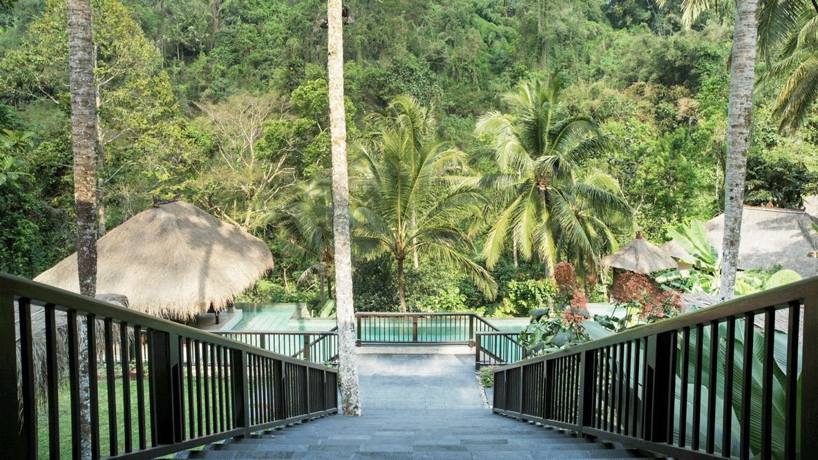 walkway jungle-hanging garden of bali