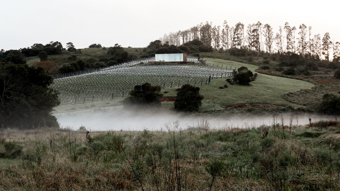 wine yards-sacromonte landscape hotel uruguay