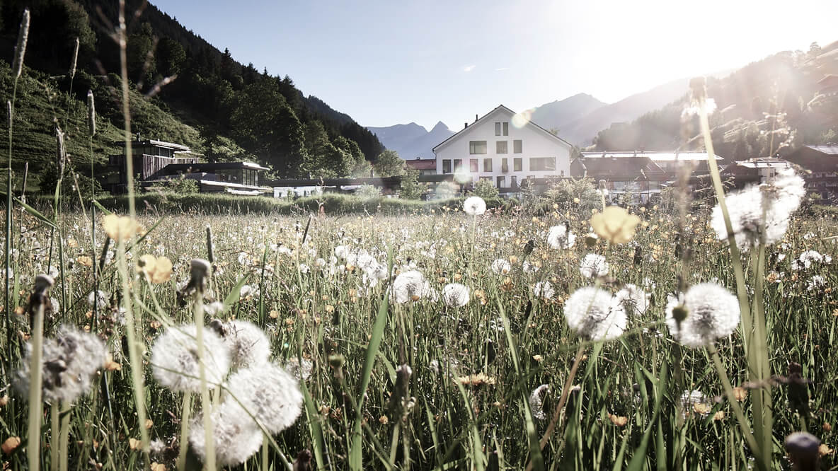 nature hotel alps-wiesergut austria