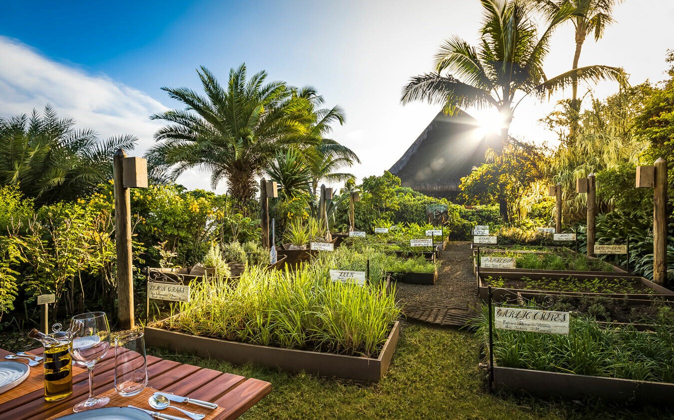 hotels in heaven-unique holiday experience-mauritius-palm trees-herbs