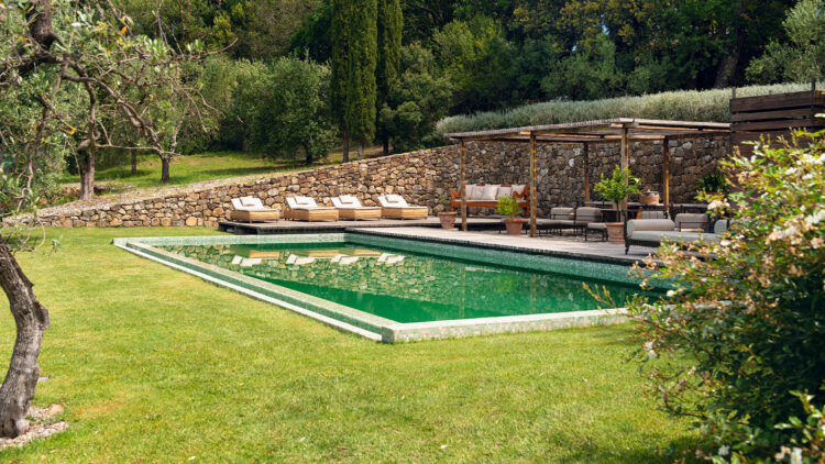 Castello-di-Vicarello_Olive-Grove-Pool