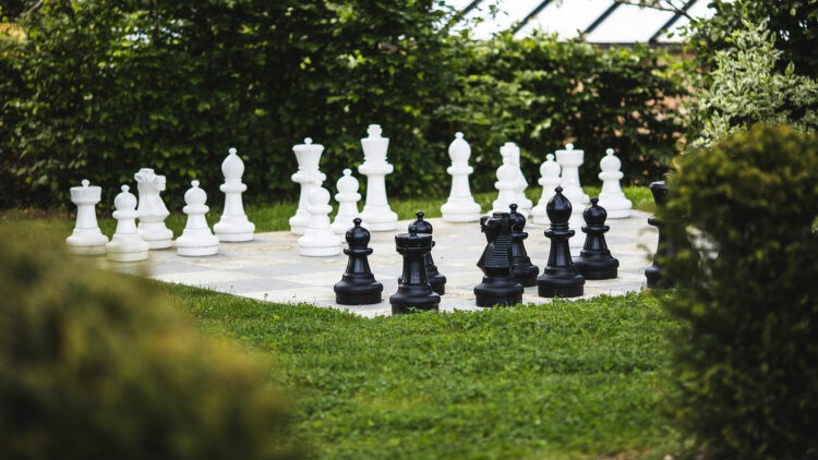 Domaine-des-Etangs_Chess