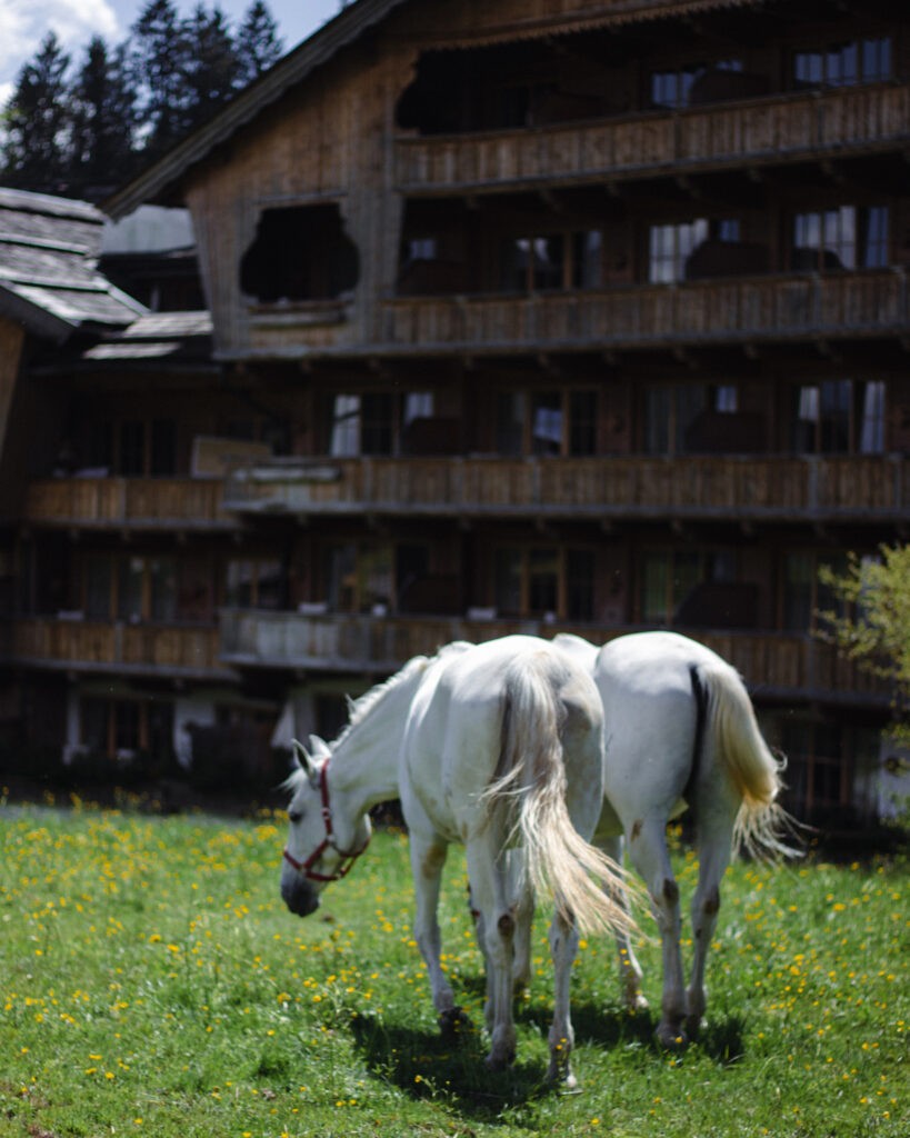 Stanglwirt_main_building_horses
