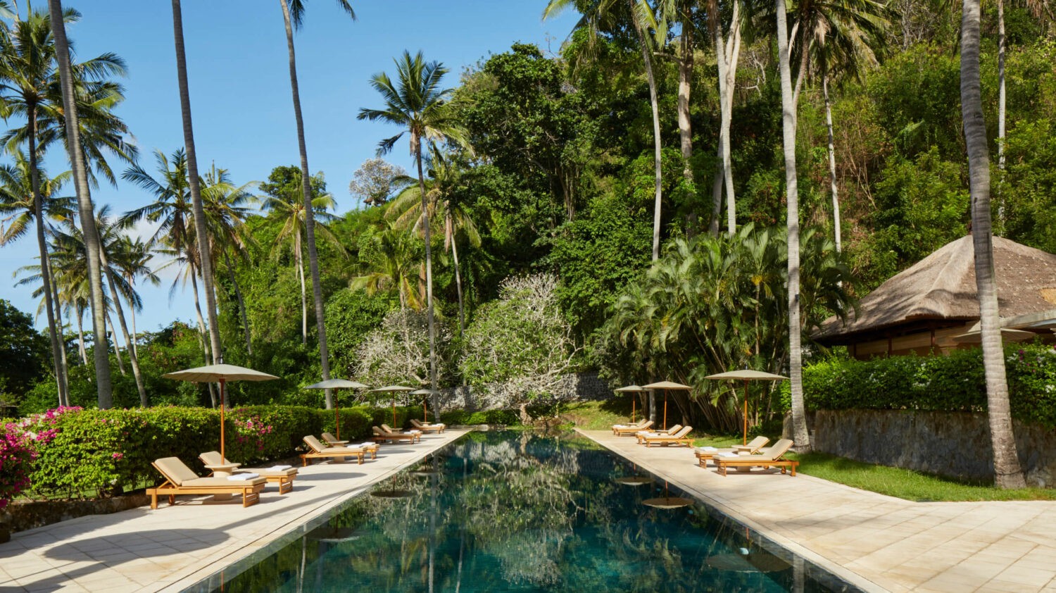 Amankila_pool_view_palm_island_green